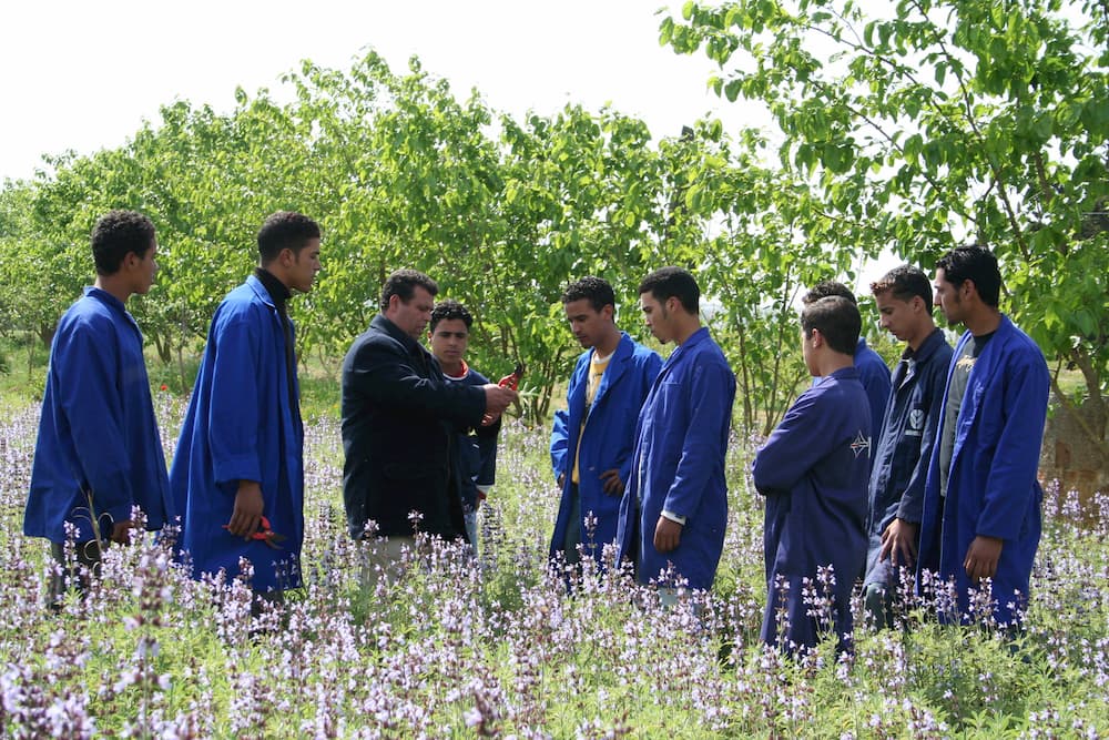 Formation: un levier majeur pour accompagner l’essor du secteur